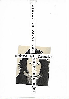 Anamaria Briede  WESTERMEYER, sobre mi frente
2004-2006, Mixed media